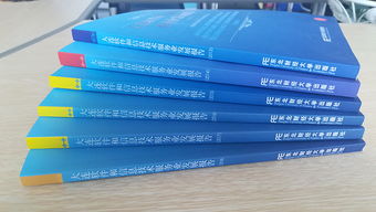 大连软件行业协会软件外包服务行业报告