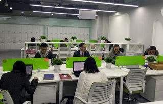 软件外包服务 产业孵化的四大法宝